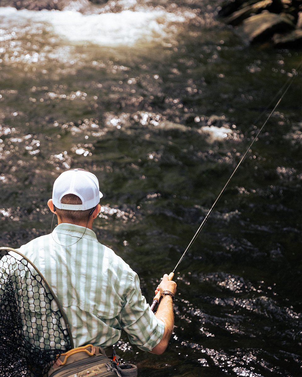 TFO Rods tweet media