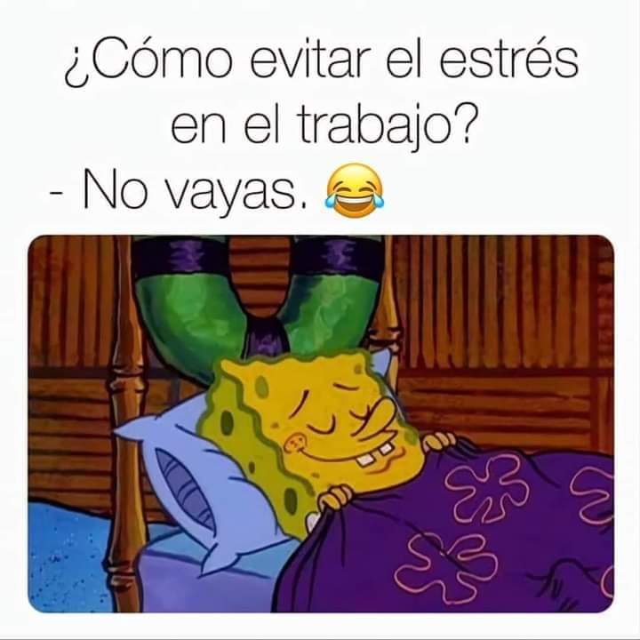 🤣🤣🤣🤣