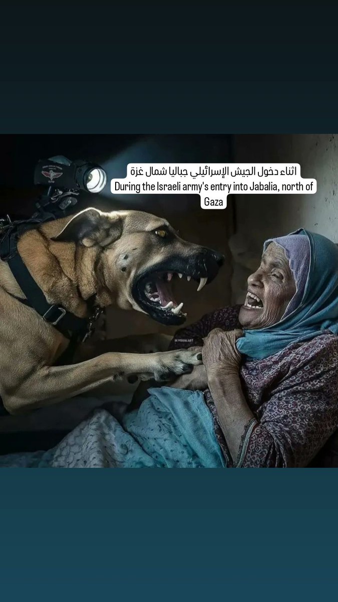 dantil.fashion90 (@dantilf90) on Twitter photo 