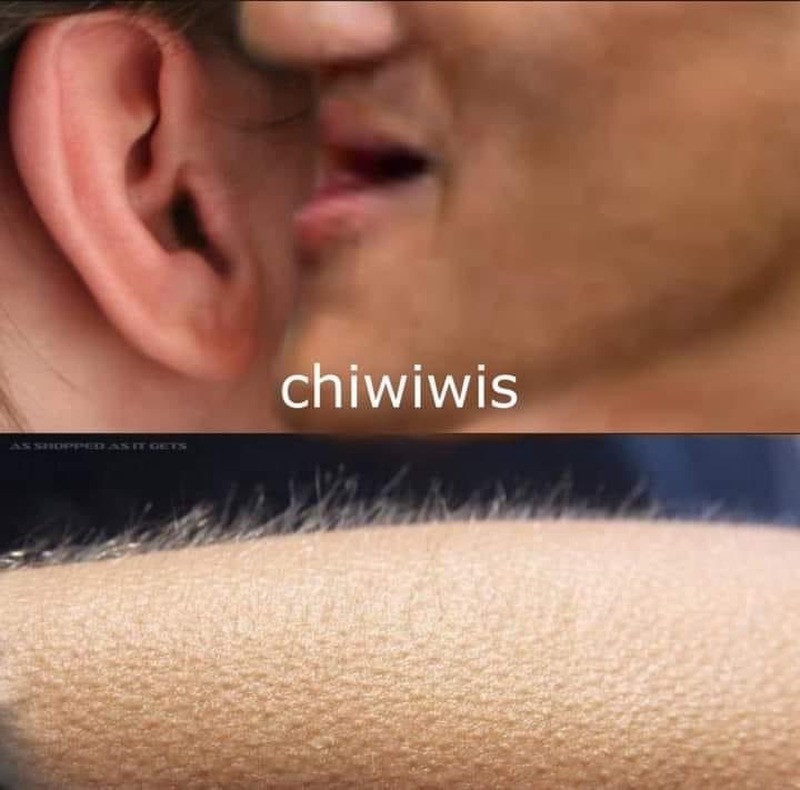 UFC Shitpost🥊💩 tweet media