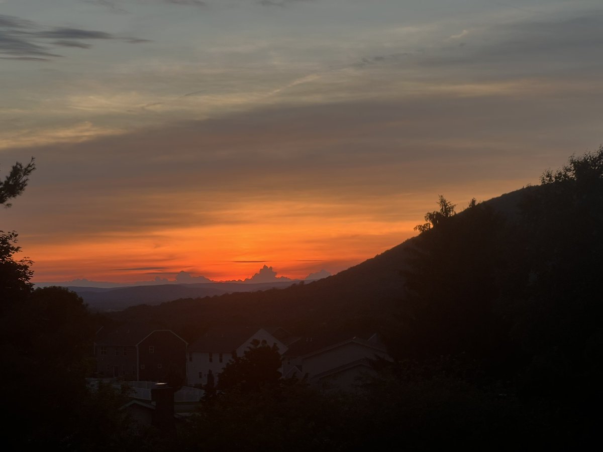 Scott Hammerstedt tweet media