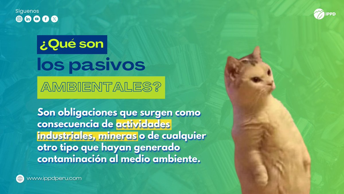 IPPDperu's tweet photo. ¿Qué son los pasivos ambientales? Son obligaciones que surgen como consecuencia de actividades industriales o de cualquier otro tipo que hayan generado contaminación al medio ambiente. #mineriaformal #viral #economia #ippd #mineriasostenible #relaces #proyectoinbersión https://t.co/RpBFcVikVy