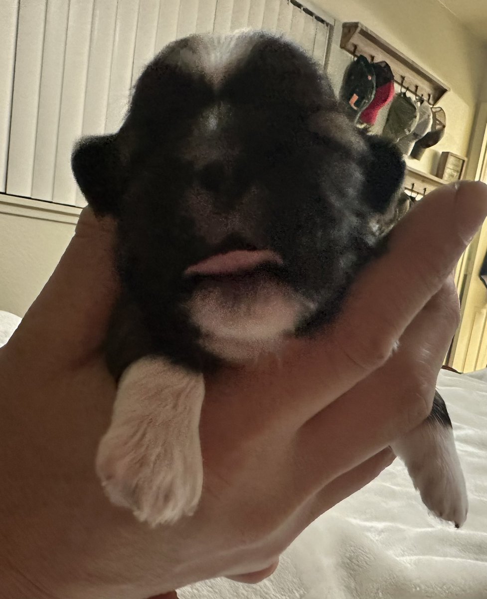 We live everywhere. Come find me! New split on Apex gonna run some games!

*pic for attention*