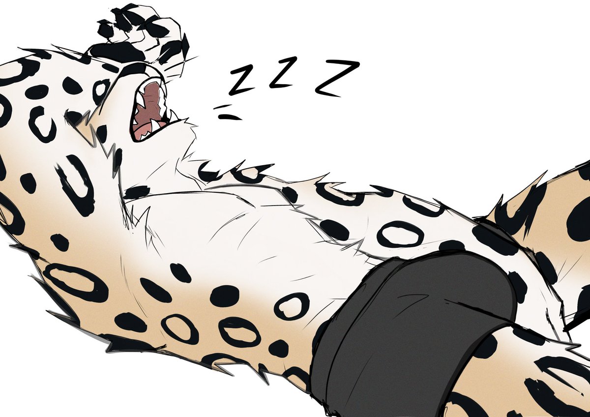Daemon 🐆🐾 tweet media