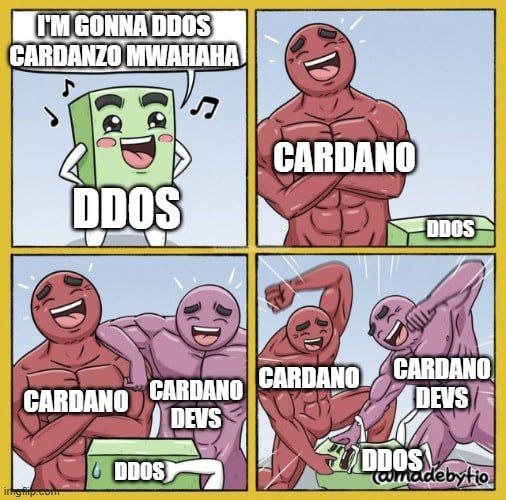 HolgerCardano24's tweet photo. https://t.co/Z6xRNZqTAk