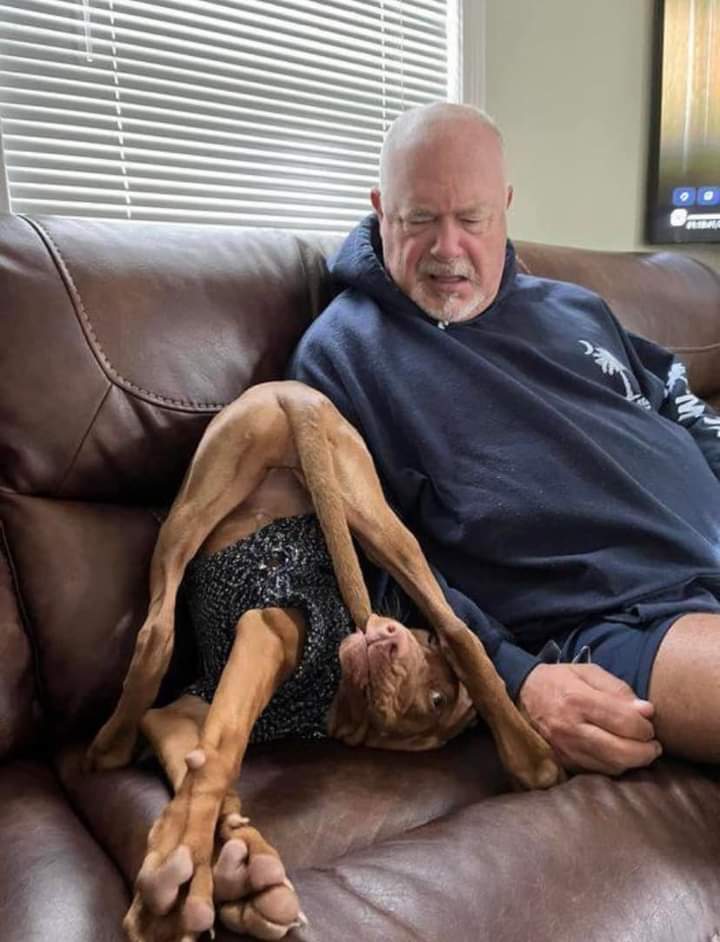 naseway's tweet image. Eish amwene,..the way Mama used to whipping you to sleep after that visitor is gone.🙌🏾🙌🏾🙌🏾 

Komatu chonsecho anachita kukupempha okha kuti " Bhule pitani muzikacheza ndi alendo".😂