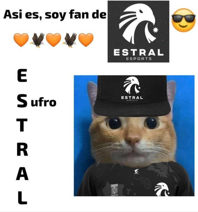 Estral Esports tweet media