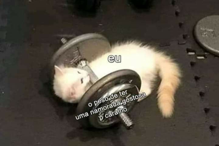 Memes para marcar ele(a) (@memeparaoarroba) on Twitter photo 