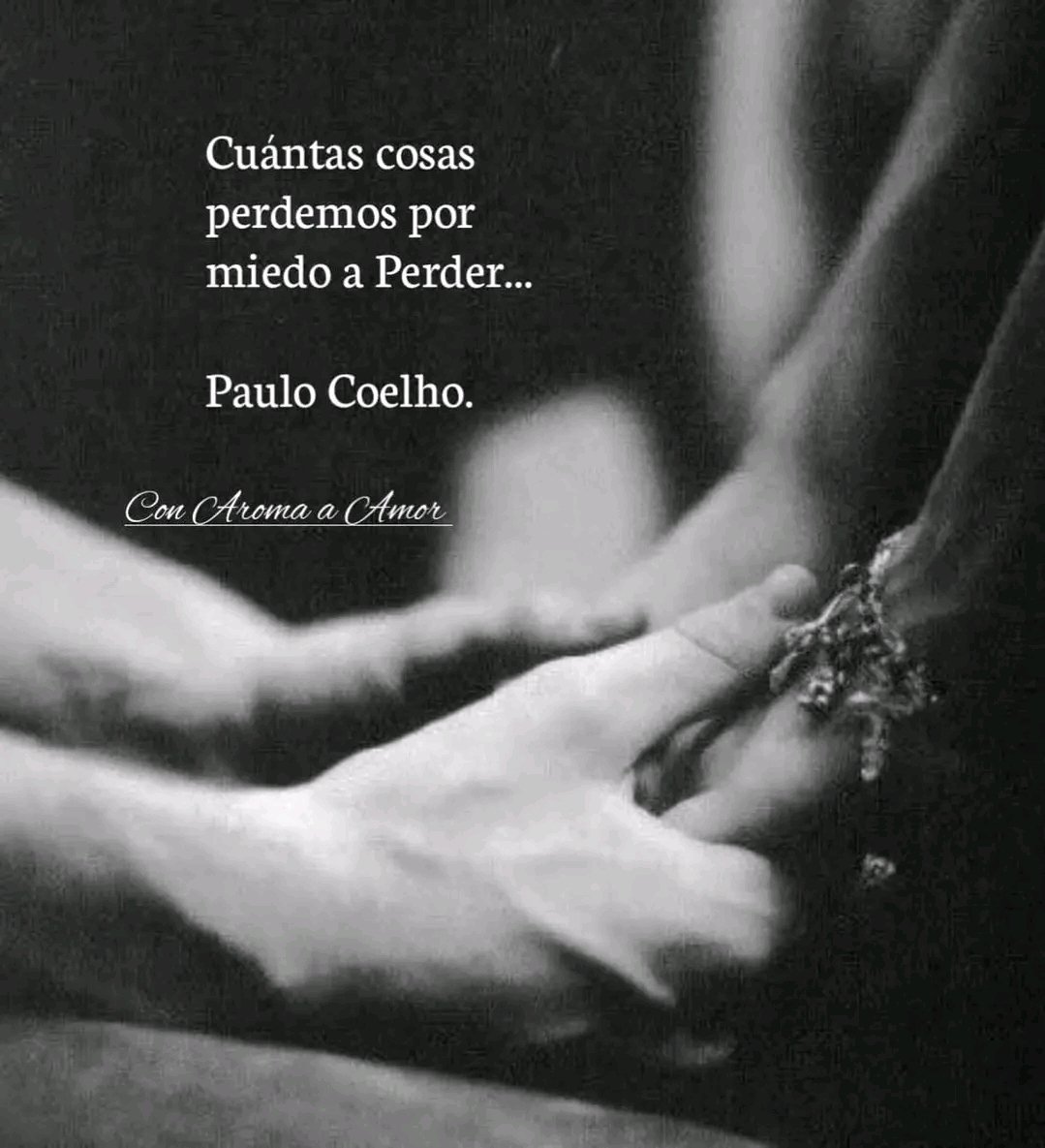 Tueco (@tuecoenletras) on Twitter photo 