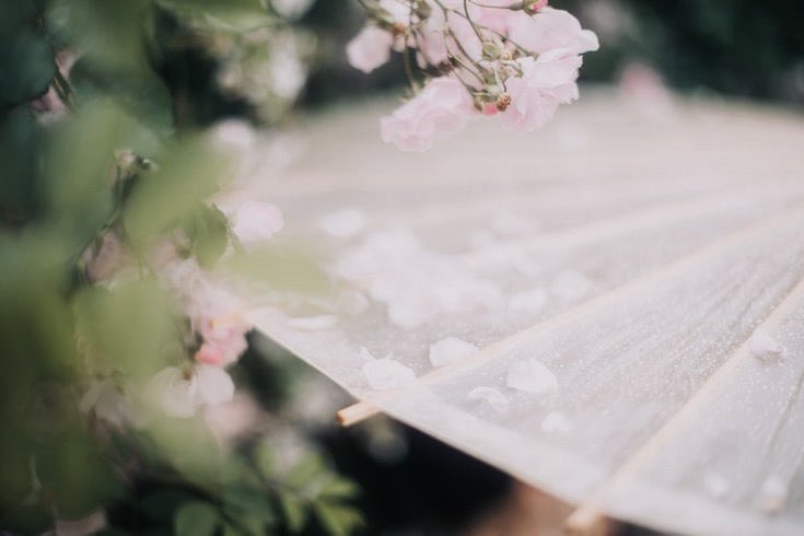 박 YEONG JA. tweet media