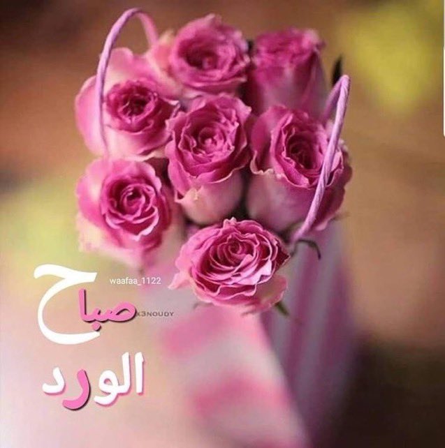 #صباح_الخير

.

.

.

اللهم الأُمنيات المتروكة
 بين عظيم لُطفك."🤍

.

.

.