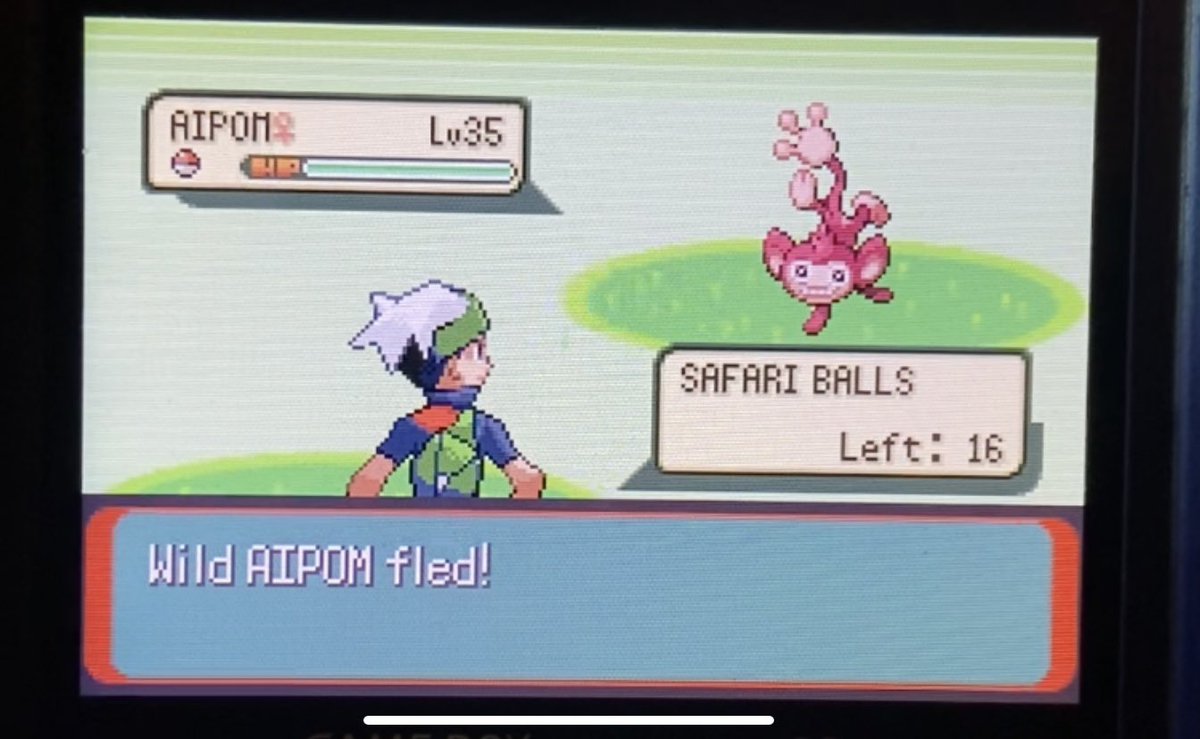 Another Awesome Aipom Advneture After 8344!! #SafariWeek2024