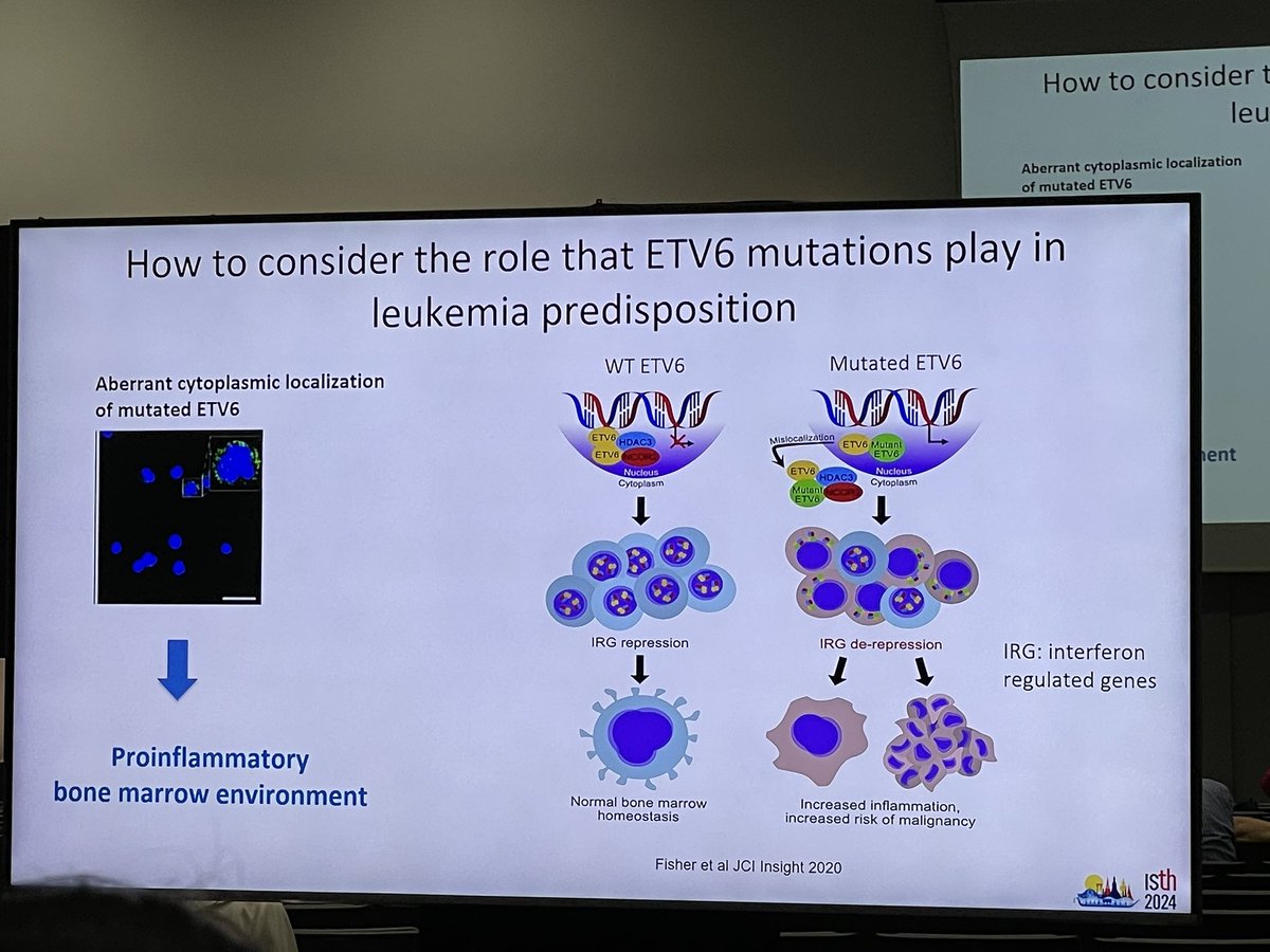 Melanie Daniel (@danielmelaniemd) on Twitter photo Last day of #ISTH2024! Getting up to date on platelets in SOA session. Pr Marie-Christine Alessi <a href="/CRPP12/">Centre de Référence des Pathologies Plaquettaires</a> discusses the myeloid neoplasm risk associated to congenital thrombocytopenia. Last day of #ISTH2024! Getting up to date on platelets in SOA session. Pr Marie-Christine Alessi <a href="/CRPP12/">Centre de Référence des Pathologies Plaquettaires</a> discusses the myeloid neoplasm risk associated to congenital thrombocytopenia.