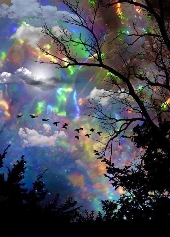 Canadian geese with a rainbow diffused by the raindrops being reflected off the clouds. 

Photo credit: Stephen Colean