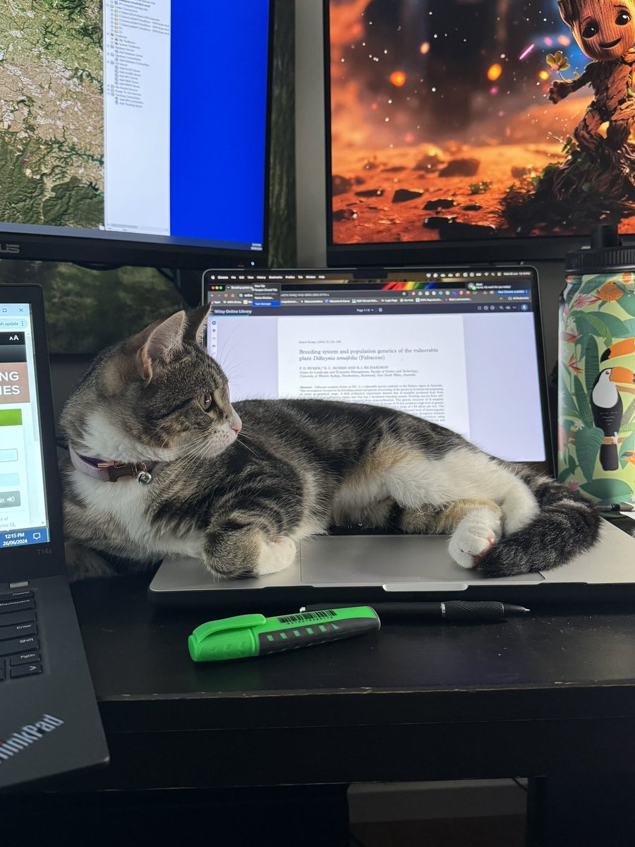 Katie Rolls tweet media