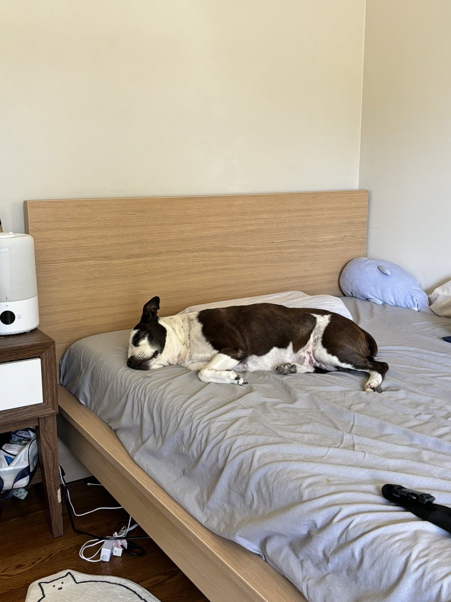 Irene 👹 tweet media