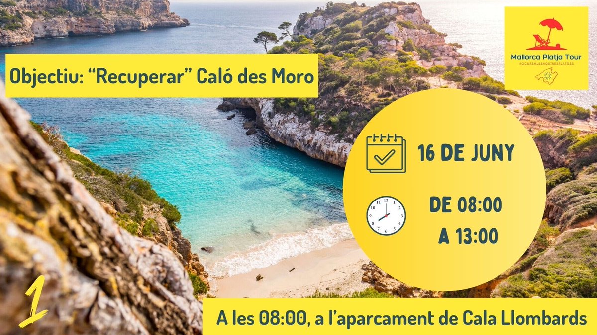 Mallorca Platja Tour tweet media