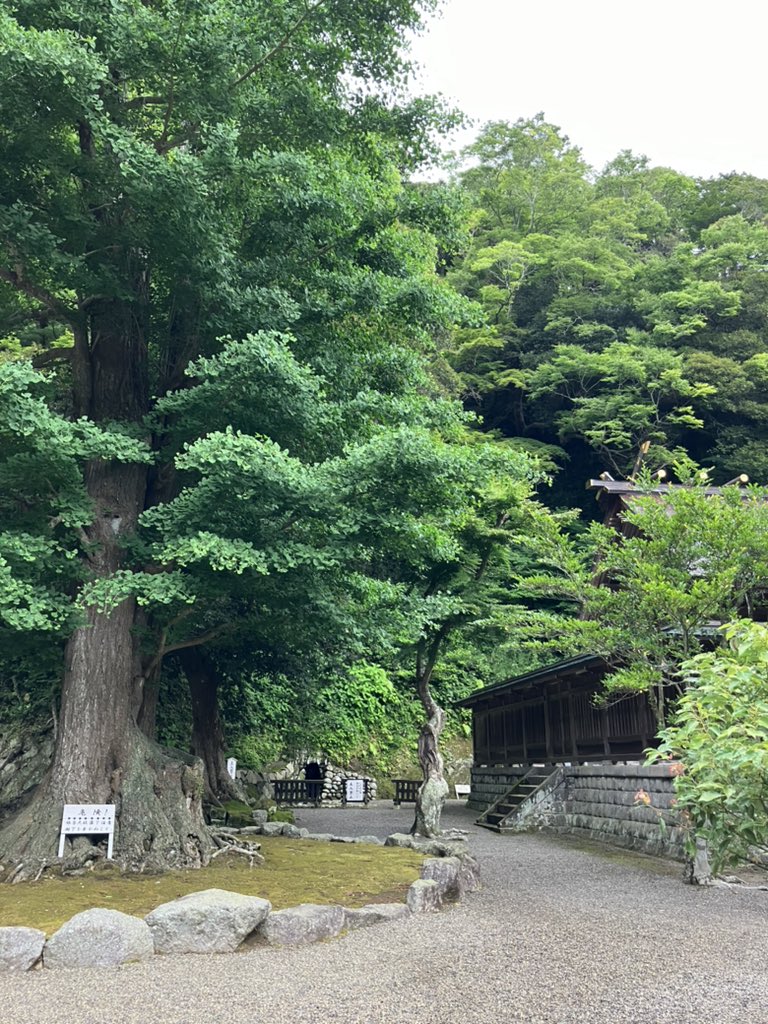 fatburning55's tweet photo. 【ダイエット外】小旅行でピーナッツソフトクリームというものを食べましたおいしかったです🍦✨
あと安房神社も初参拝でしたが、荘厳な雰囲気でした⛩️
#ピーナッツソフトクリーム
#木村ピーナッツ 
#安房神社 https://t.co/0xbelP3G2o