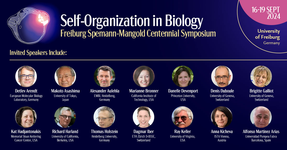 WalentekLab's tweet image. A few more days to register for the @CIBSS_UniFR and @UniFreiburg Spemann-Mangold Centennial Symposium on #selforganization in biology. Great lineup of speakers and sessions in the historic lecture hall where Hans &amp;amp; Hilde presented their findings 100 years ago. Will be fun!