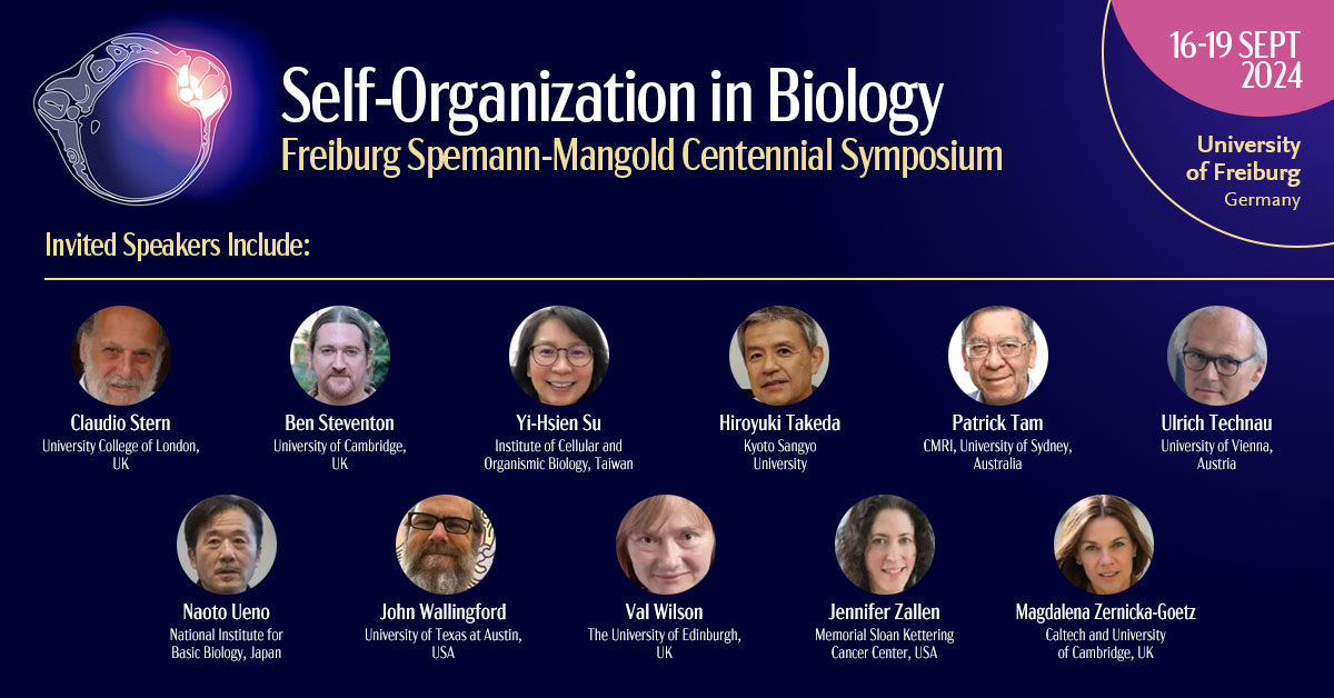 WalentekLab's tweet image. A few more days to register for the @CIBSS_UniFR and @UniFreiburg Spemann-Mangold Centennial Symposium on #selforganization in biology. Great lineup of speakers and sessions in the historic lecture hall where Hans &amp;amp; Hilde presented their findings 100 years ago. Will be fun!
