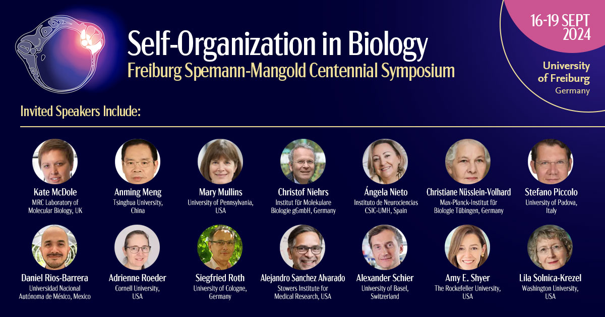 WalentekLab's tweet image. A few more days to register for the @CIBSS_UniFR and @UniFreiburg Spemann-Mangold Centennial Symposium on #selforganization in biology. Great lineup of speakers and sessions in the historic lecture hall where Hans &amp;amp; Hilde presented their findings 100 years ago. Will be fun!