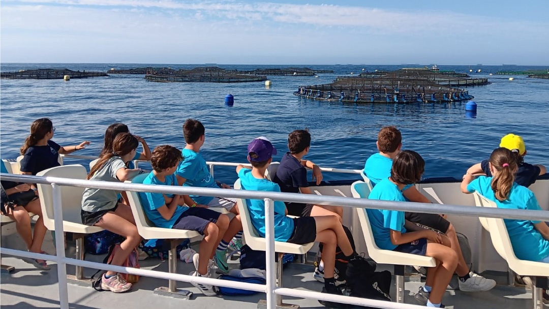 La iniciativa “Acuicultura de España” (<a href="/APROMAR_acui/">APROMAR</a> <a href="/corvina_rex/">Corvina REX Avramar</a> ) acerca la actividad acuícola al alumnado de Primaria y ESO de Villajoyosa
tinyurl.com/msn9ympm