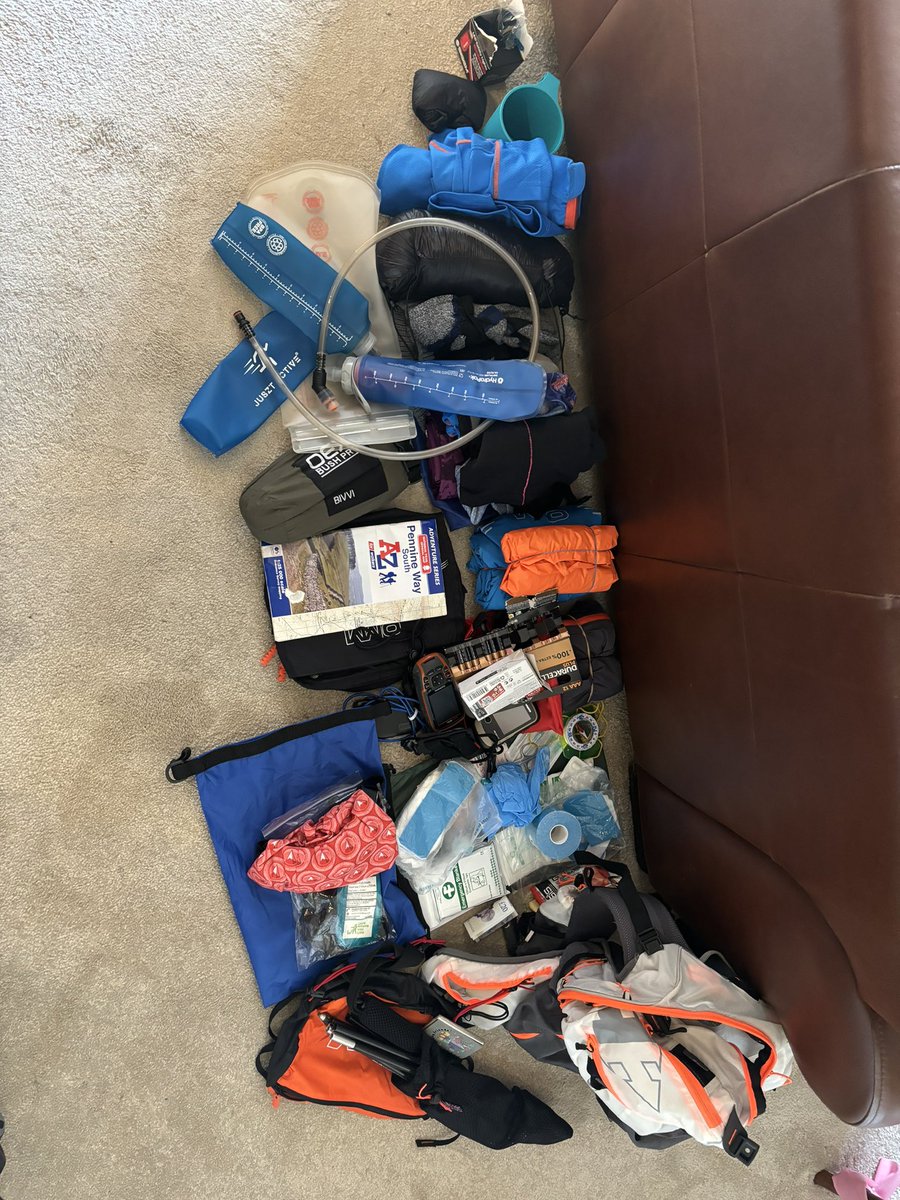 chloe hewlett tweet media