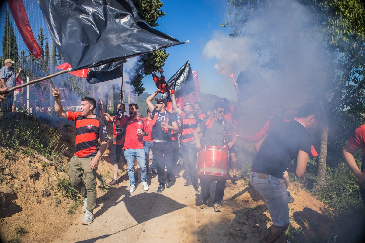 Cat_grada tweet media