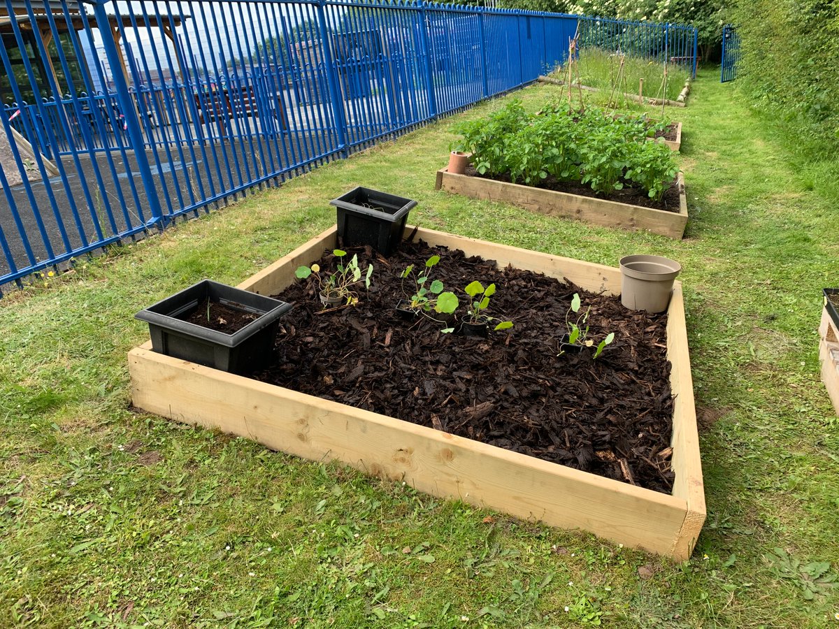 Gardening Club is thriving! Thank you to EH Smith Building Merchants and Twinkl for their donations to support for this development. The children are taking great care and loving watching things grow! ☘️🌲🌿