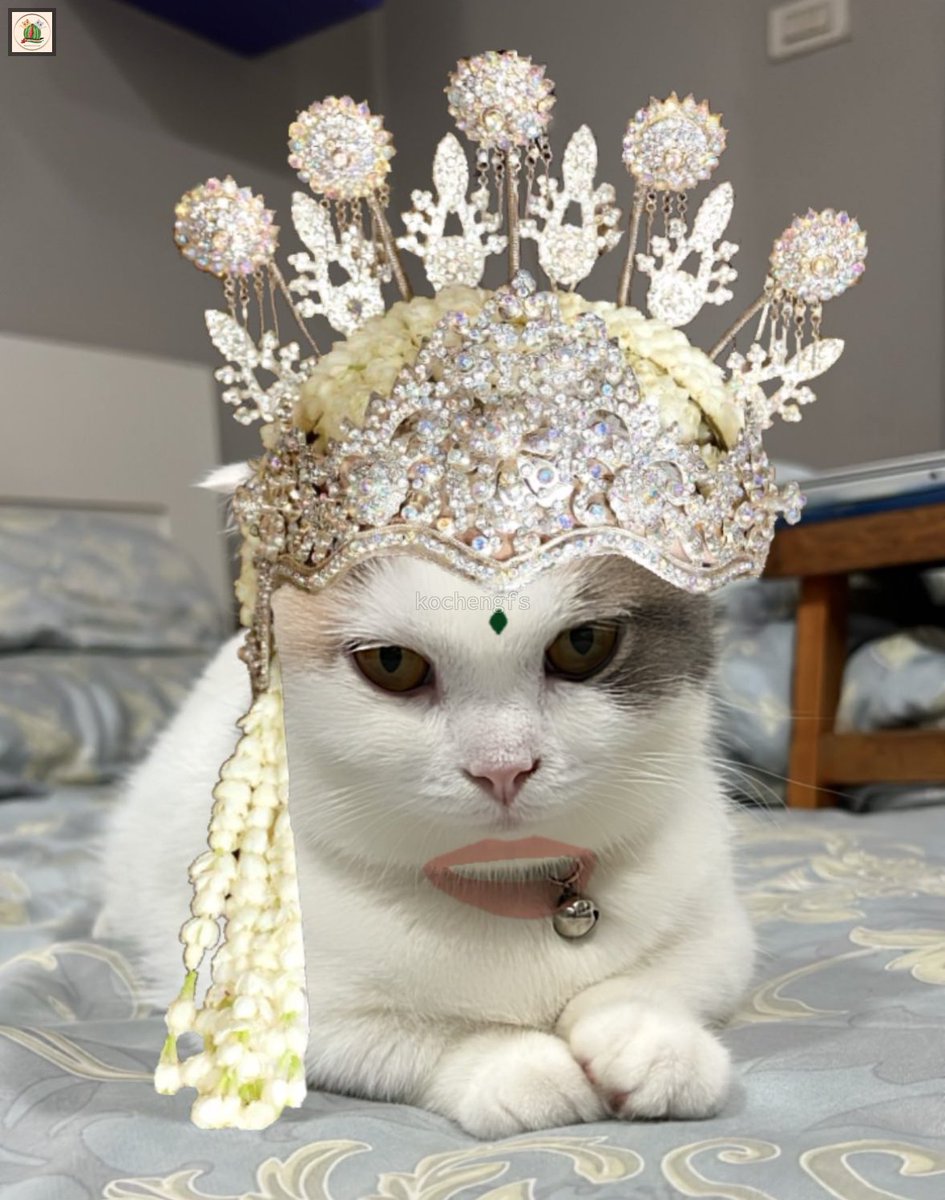 Kcg! Gini nih akibat bayar MUA pake nawar