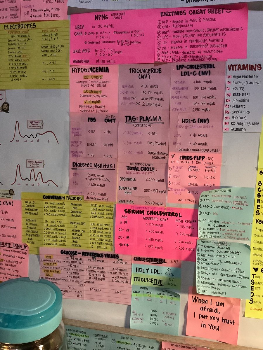 mulanᵕ̈ tweet media