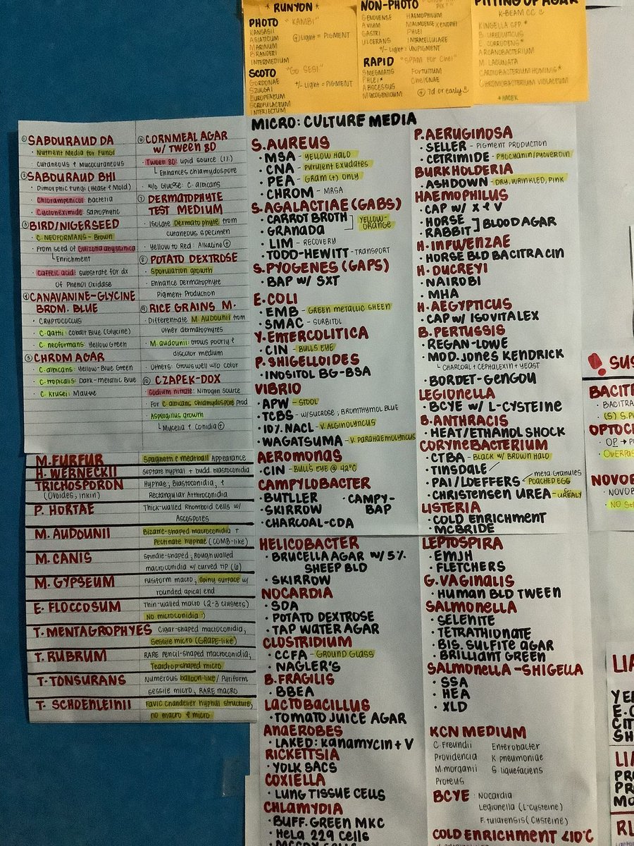 mulanᵕ̈ tweet media