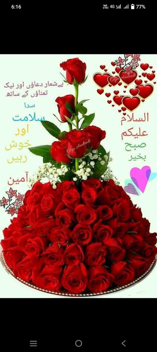 Aslam o Alikum 
X Family 
Good morning