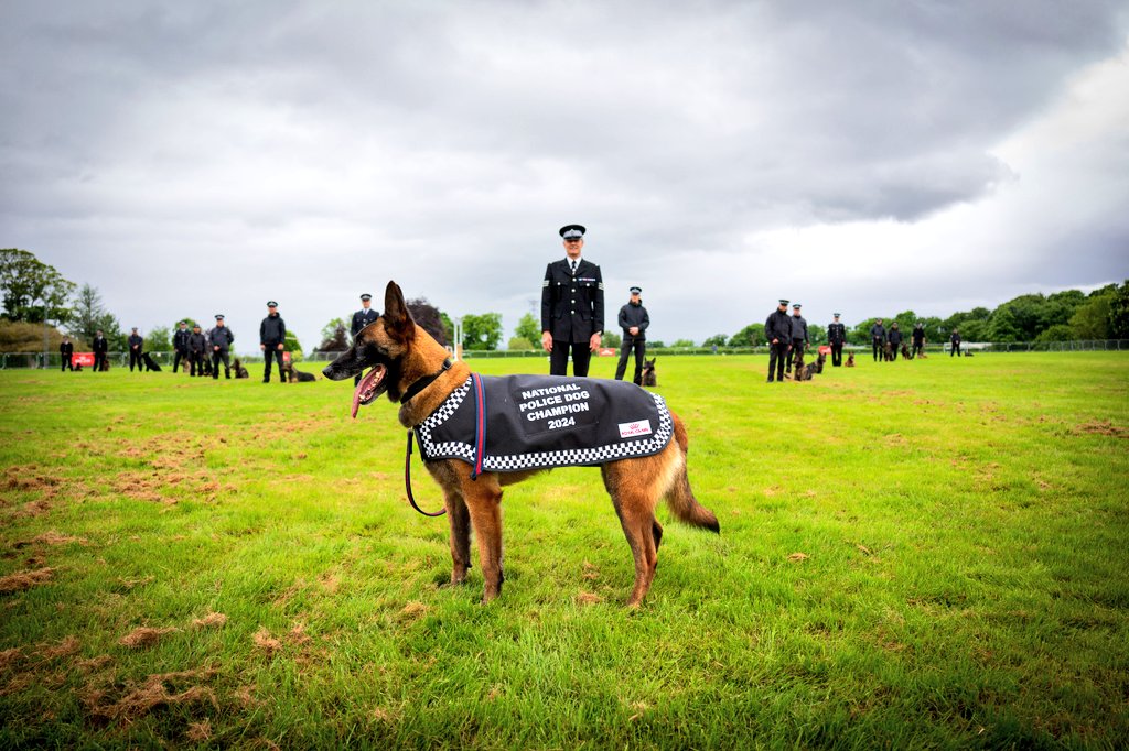 PoliceDogTrials's tweet photo. #PDEva &amp; Sgt Nick Dalrymple the 62nd National Police Dog Trials Champions representing @ASPolice. https://t.co/nnzPZTxDZ7