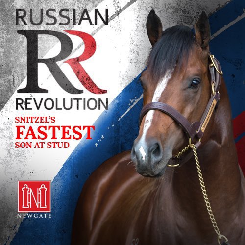 Newgate (@newgatefarm) on Twitter photo 📢2nd 2YO WINNER in 3 days for Champion 1st & 2nd season sire RUSSIAN REVOLUTION🔥
The Richard McClenahan <a href="/mullaglass/">Mullaglass Stud</a> bred 2YO filly BRONCO REVOLUTION justifies favouritism for trainer Robert Quinn💪
Congratulations to her big bunch of owners on a super maiden victory! 👏👏 📢2nd 2YO WINNER in 3 days for Champion 1st & 2nd season sire RUSSIAN REVOLUTION🔥
The Richard McClenahan <a href="/mullaglass/">Mullaglass Stud</a> bred 2YO filly BRONCO REVOLUTION justifies favouritism for trainer Robert Quinn💪
Congratulations to her big bunch of owners on a super maiden victory! 👏👏