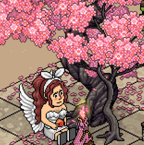 ❀♡ 𝒞𝒶𝓇𝒶𝓂𝑒𝓁 ♡❀ tweet media