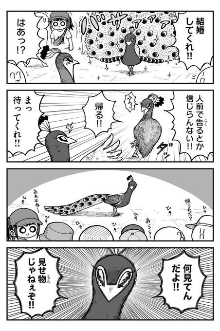 公開プロポーズ 