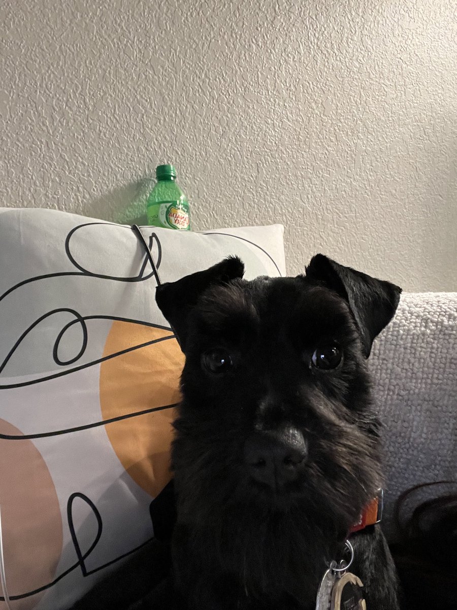 lucky ☆彡 | bg3 era tweet media