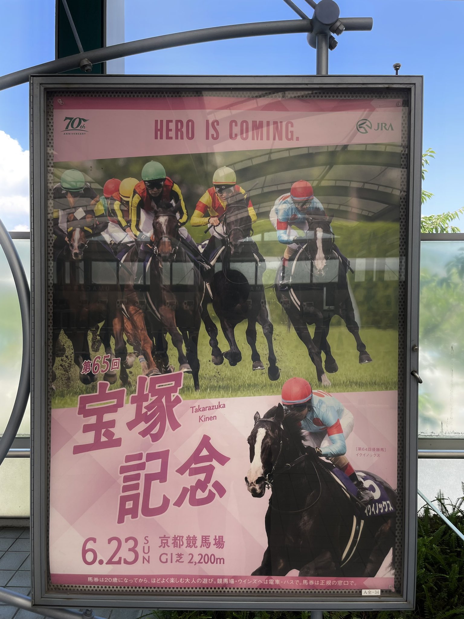 JRA 競馬 馬写真（額入り）冬花