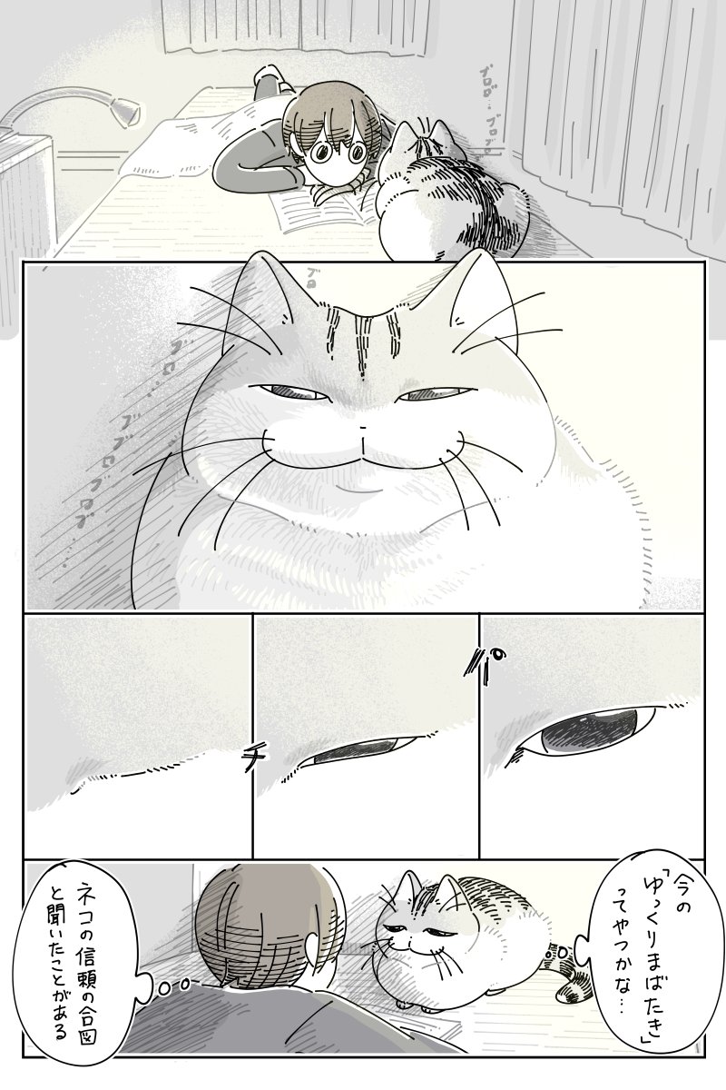 ゆっくりねこ 様 キュルZ on X