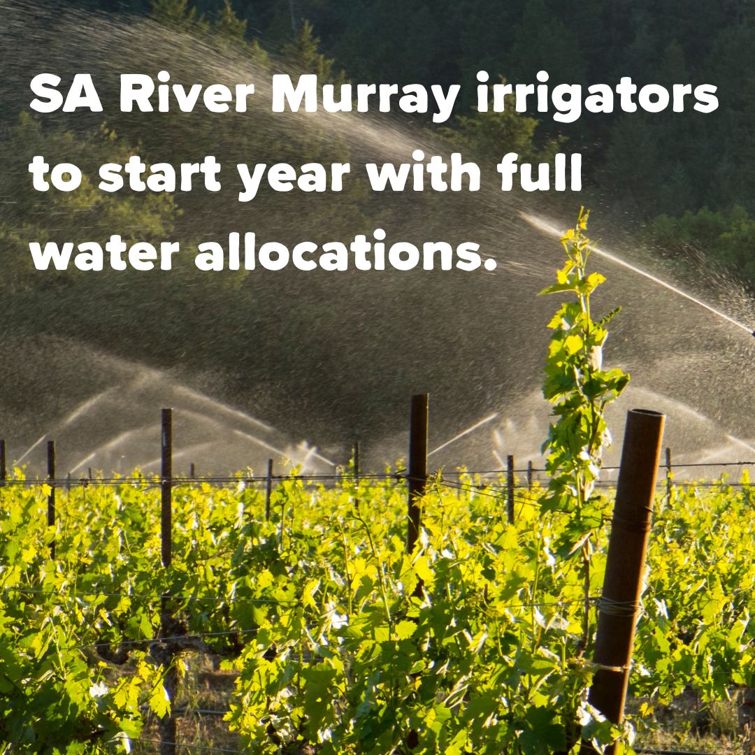 envirosanews's tweet photo. There's good news today for SA river communities, with confirmation local irrigators will receive full water allocations heading into the next financial year, for the fourth year running. Find out more and access the SA #RiverMurray Water Calculator: https://t.co/eqenU57ptq https://t.co/916Qnm39jn