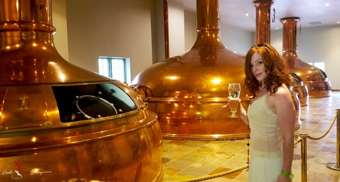 A little Throwback Thursday pic of when I visited a brewery to see where the magic happens. What is your