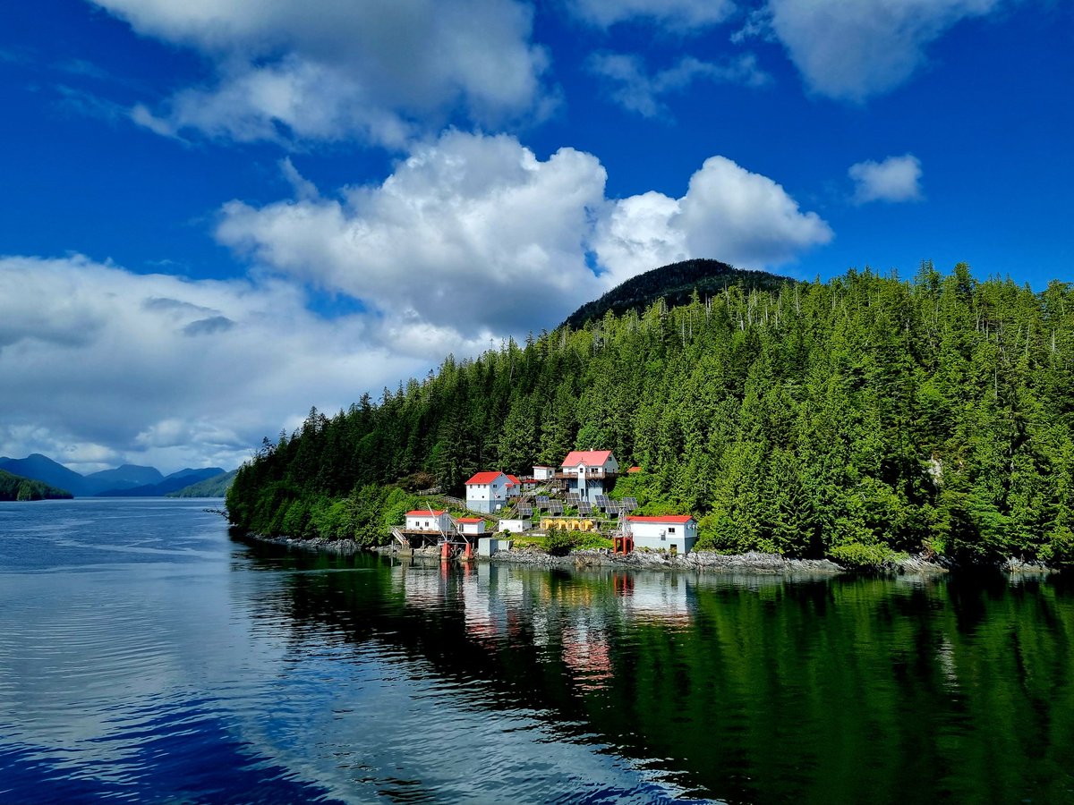 DietermanTjark's tweet photo. Mooi kleurig uitzicht. Fijne vrijdag😀 #natuur #landschap #zomer #Canada #BC #SarahIsland #BoatBluffLighthouse #InsidePassage https://t.co/q0usge5xhq