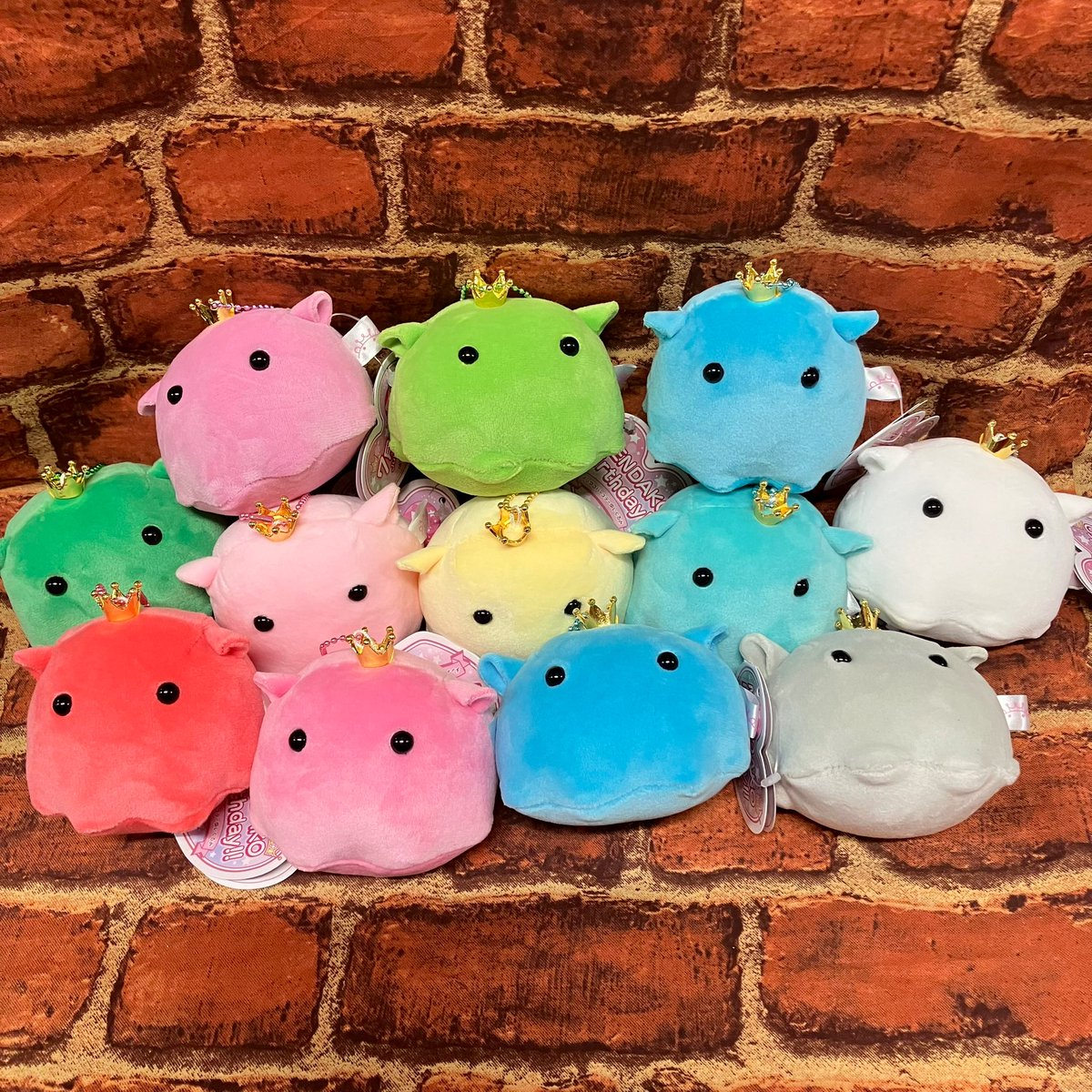 プライズ】新景品🌟 「メンダコバースデーぬいぐるみMC」が登場致し