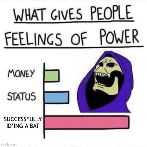 Sophianeⵣ is Team Hoary🦇🦇 (@honkifurhoary) on Twitter photo 