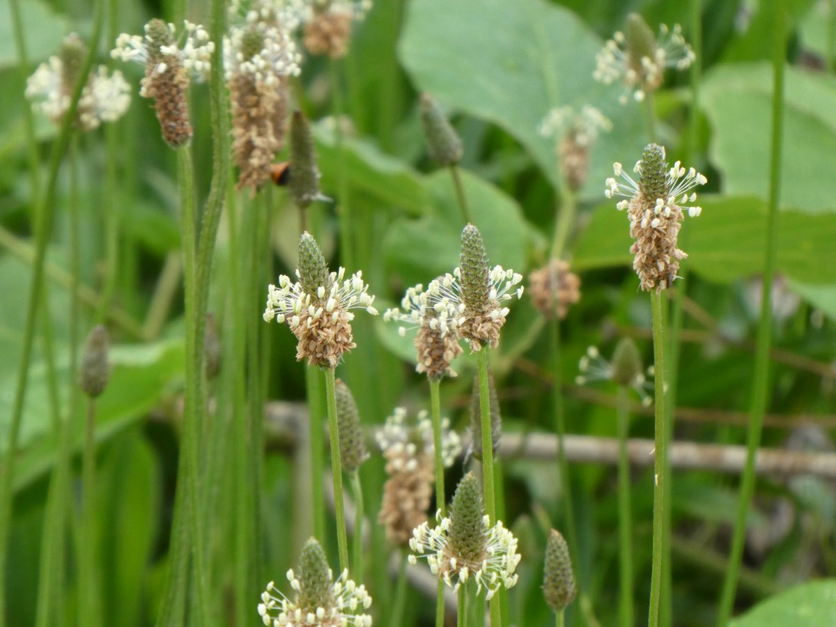 久遠澪/MioQ tweet media