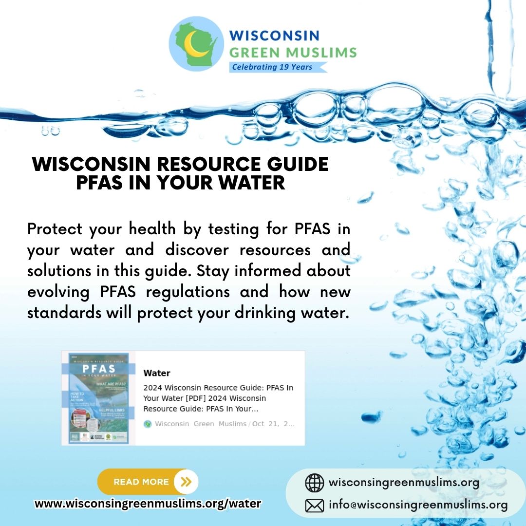 #WisconsinGreenMuslims and partners developed a #Wisconsin Resource Guide: #PFAS in Your #Water. wisconsingreenmuslims.org/water/ #WaterSafety #EnvironmentalHealth #CleanWater #WIGreenMuslims #SustainableLiving #ProtectOurWater #PFASConference #EnvironmentalJustice