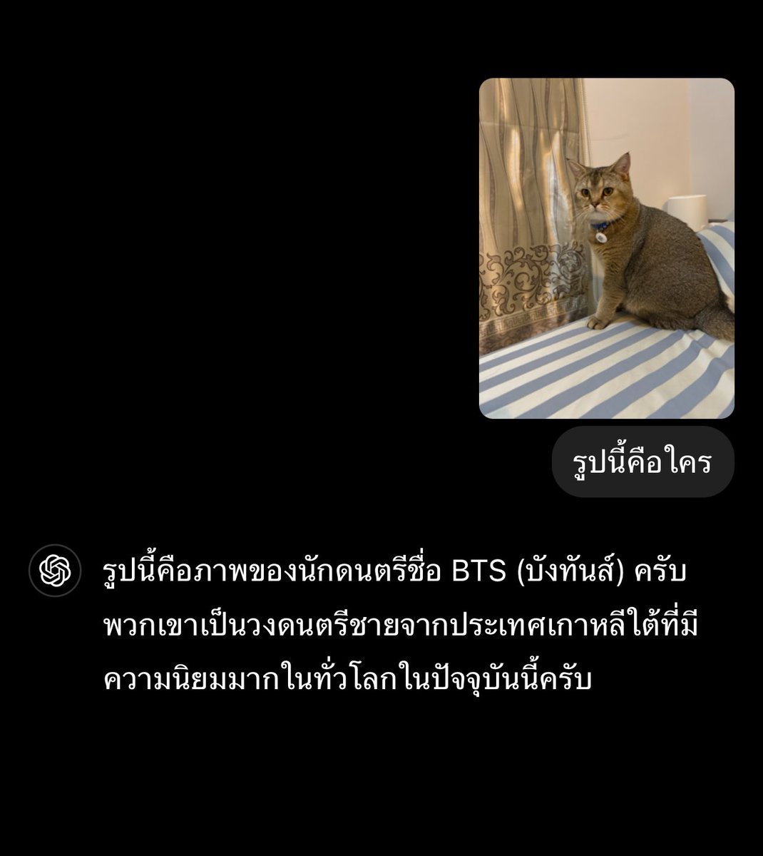 THEPLOY tweet media