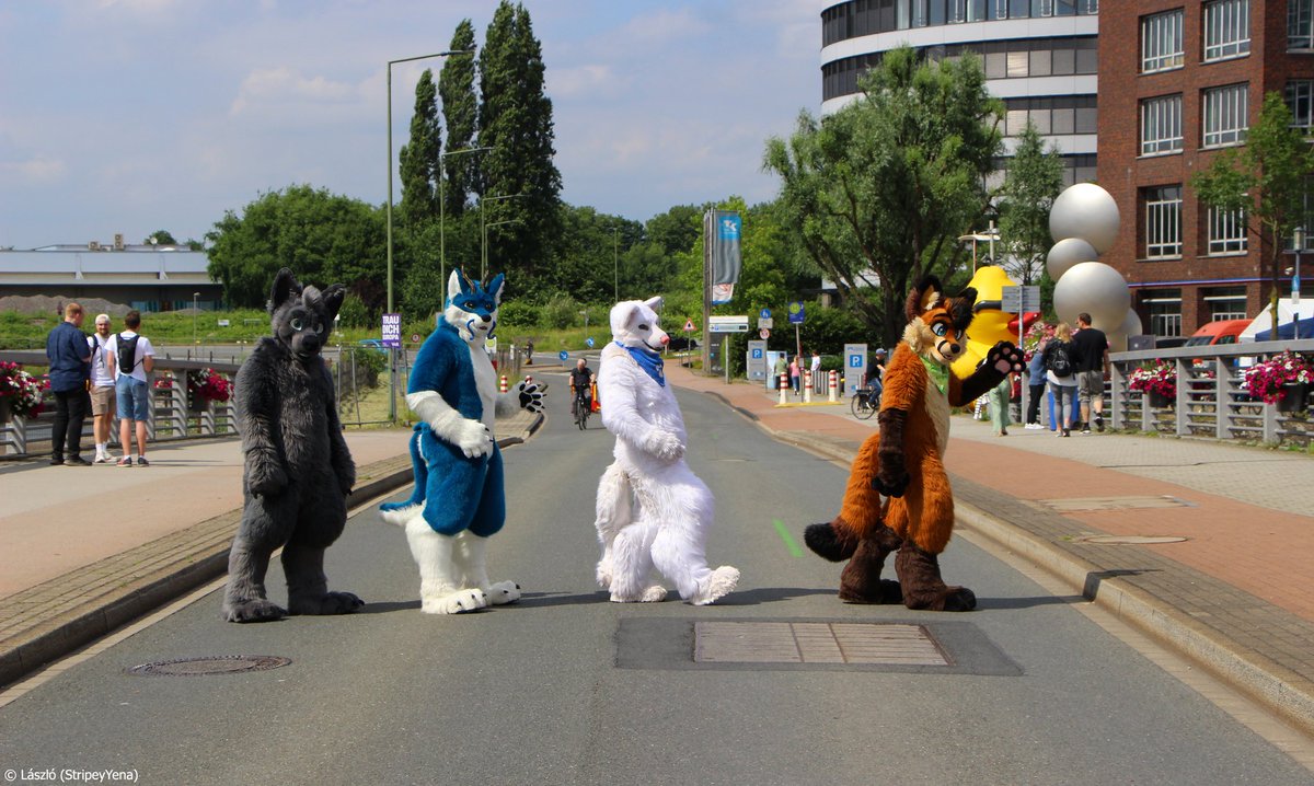 Shane_the_Wolf's tweet photo. Abbey Road 
🗓 08.06.2024 
🐉 @FurthingyTalles
🦊 @CookietheFoxNL
🐺 @Quarzar1
🐺 @Shane_the_Wolf
📸 @StripeyYena

#FursuitFriday https://t.co/hXdKE70HyP
