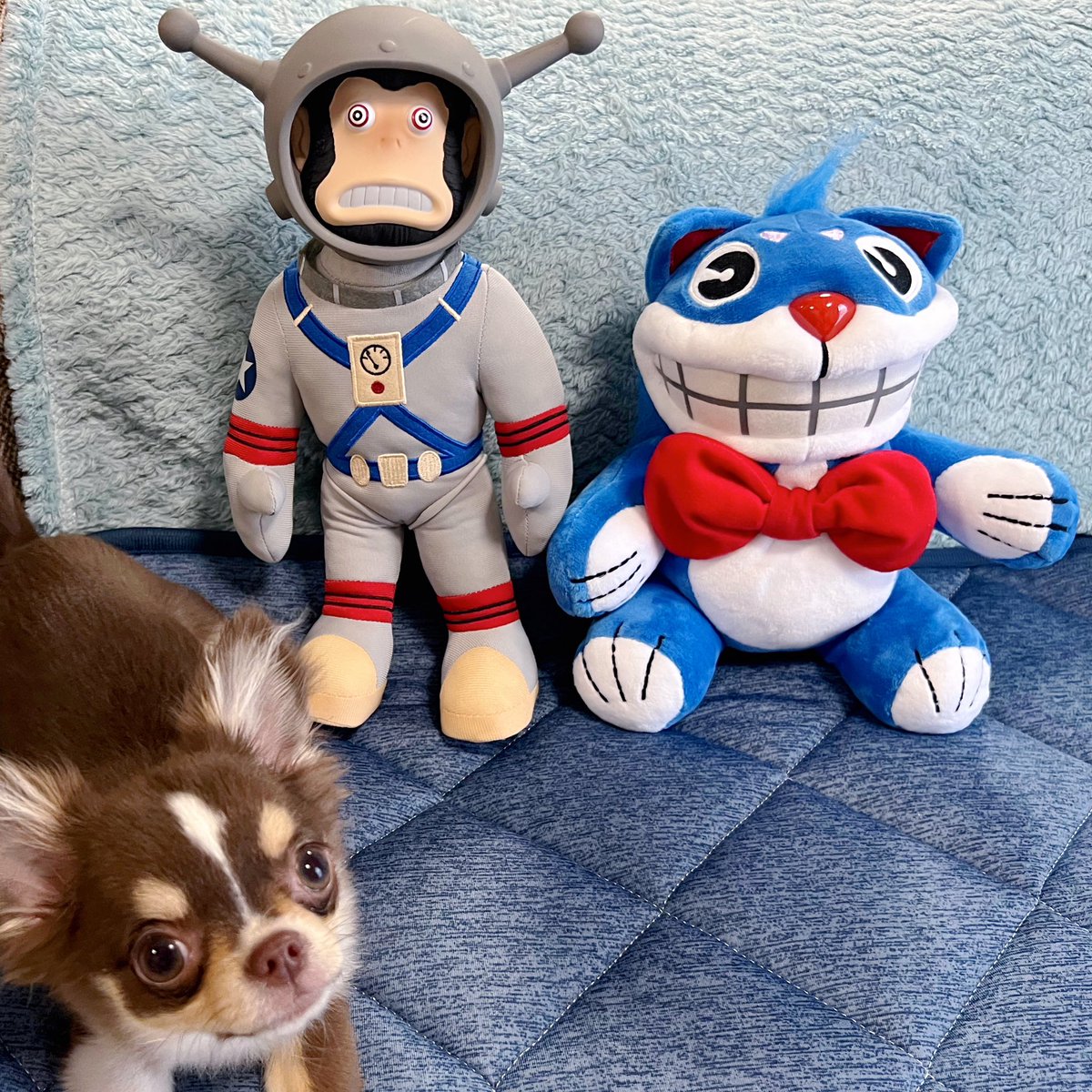 Moon MonkeyとMr. Fuzzyのぬいぐるみ とっても可愛いのでフォール